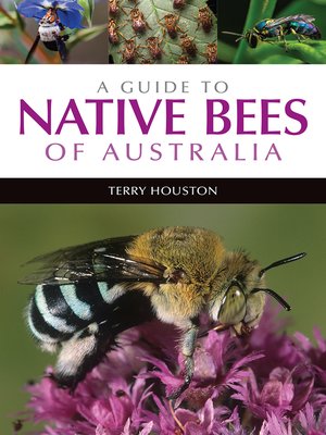 cover image of A Guide to Native Bees of Australia